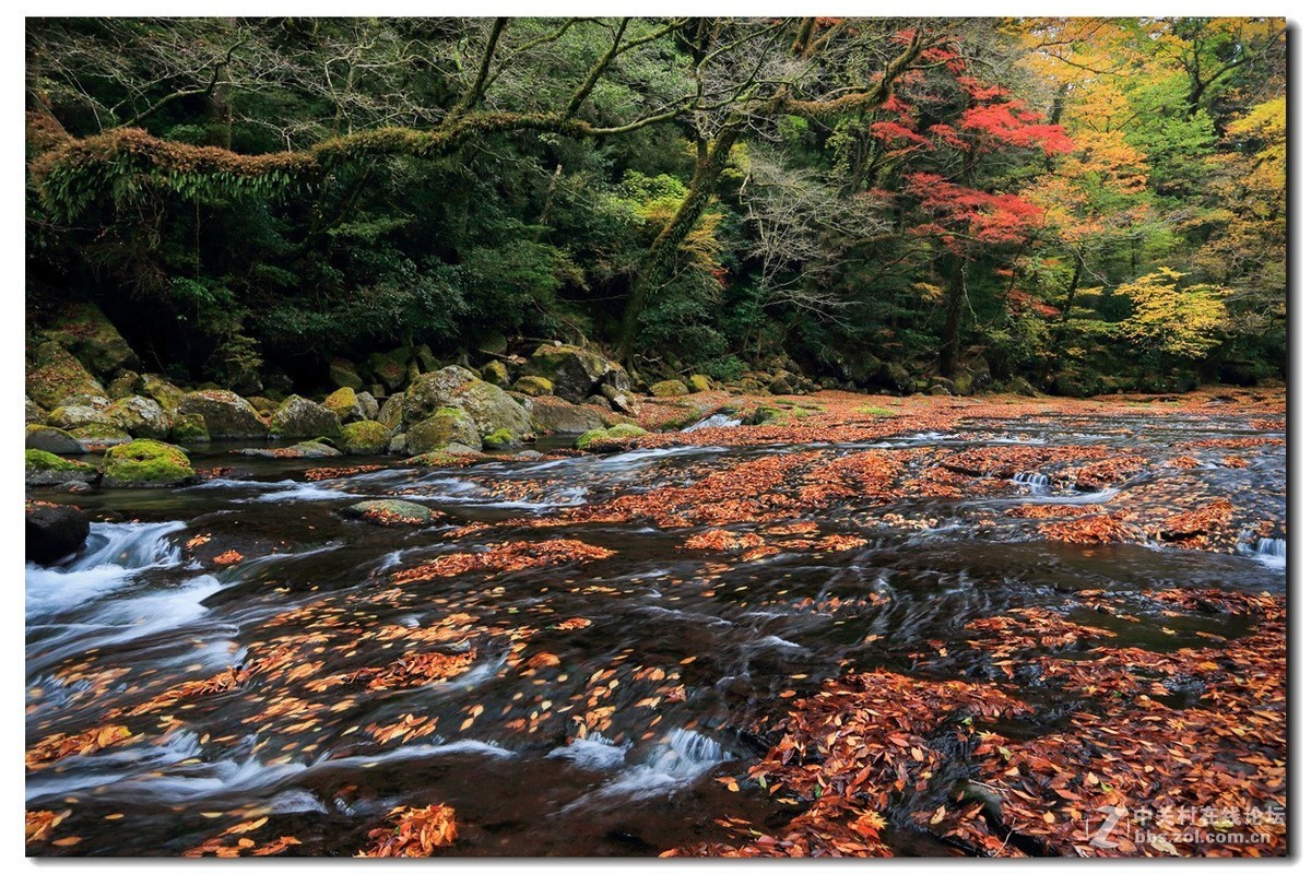 #佳能月赛-金秋十月#《秋风、秋波》