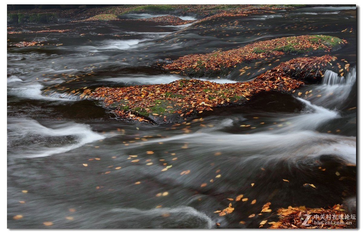 #佳能月赛-金秋十月#《秋风、秋波》