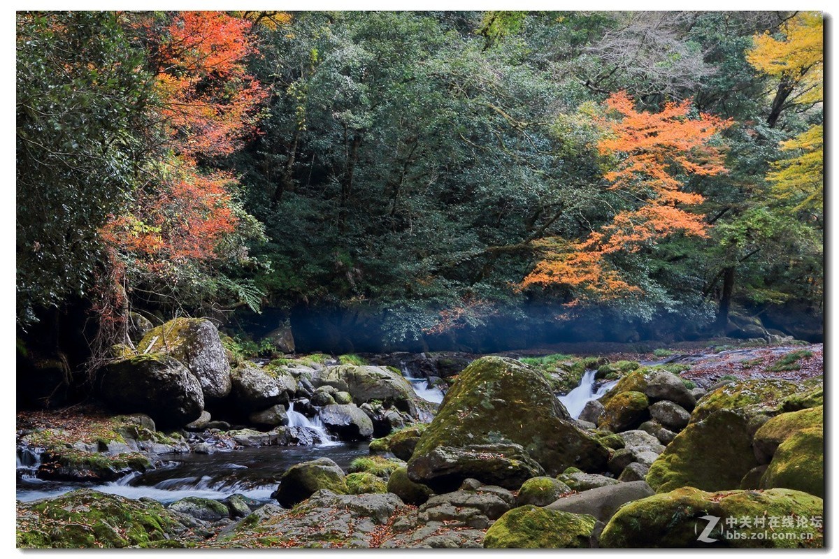 #佳能月赛-金秋十月#《秋风、秋波》