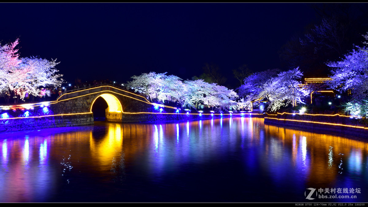 无锡鼋头渚赏夜樱