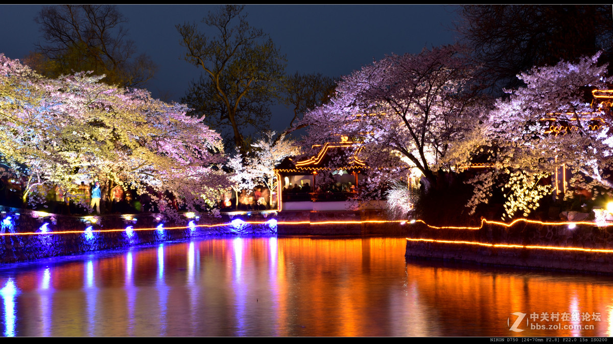 无锡鼋头渚赏夜樱