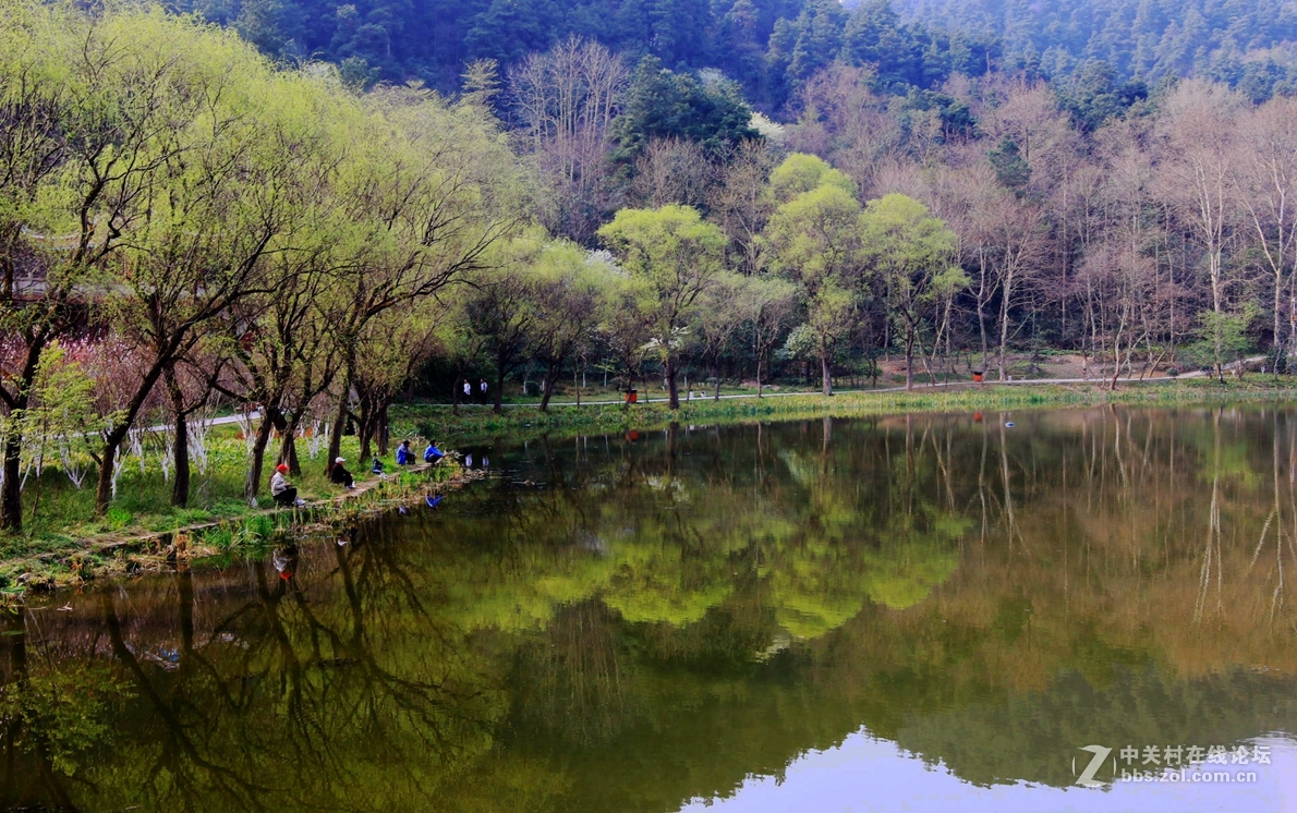 初春景色隨拍