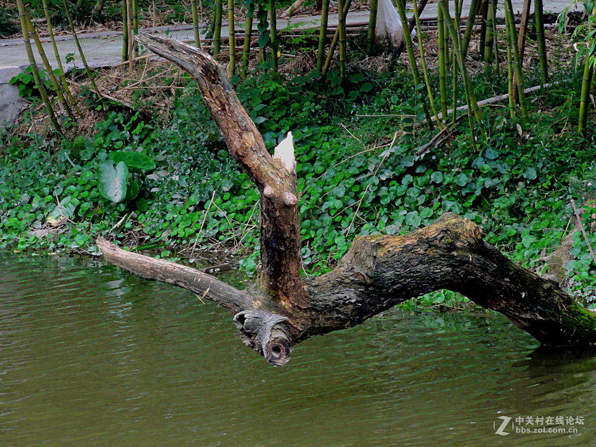 市郊乔家宅随拍