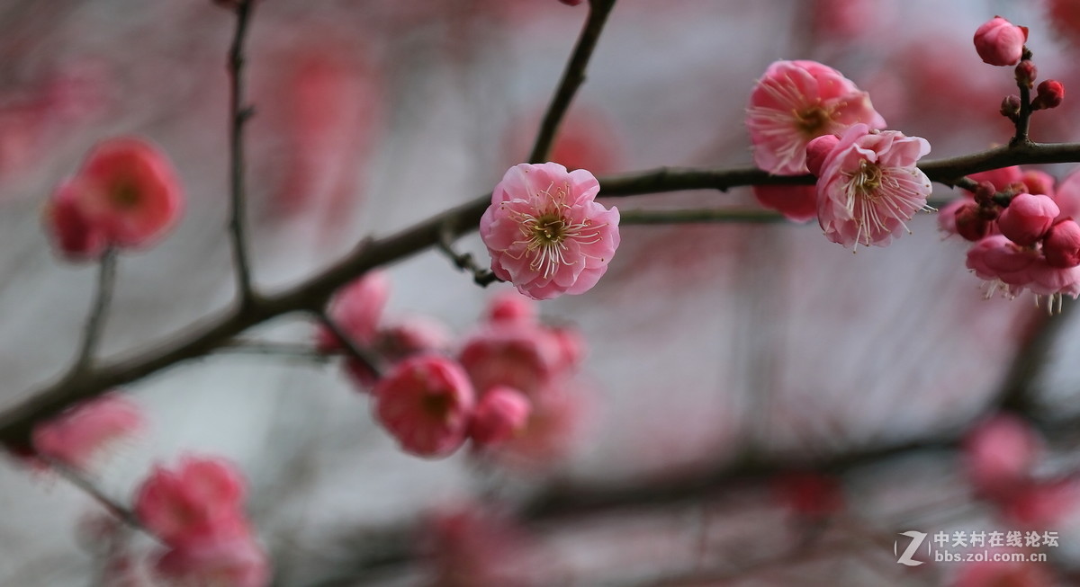 祝阁位师哥师姐新年快乐！