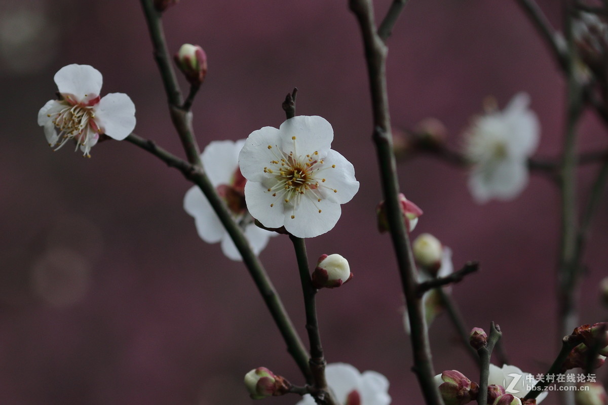 祝阁位师哥师姐新年快乐！
