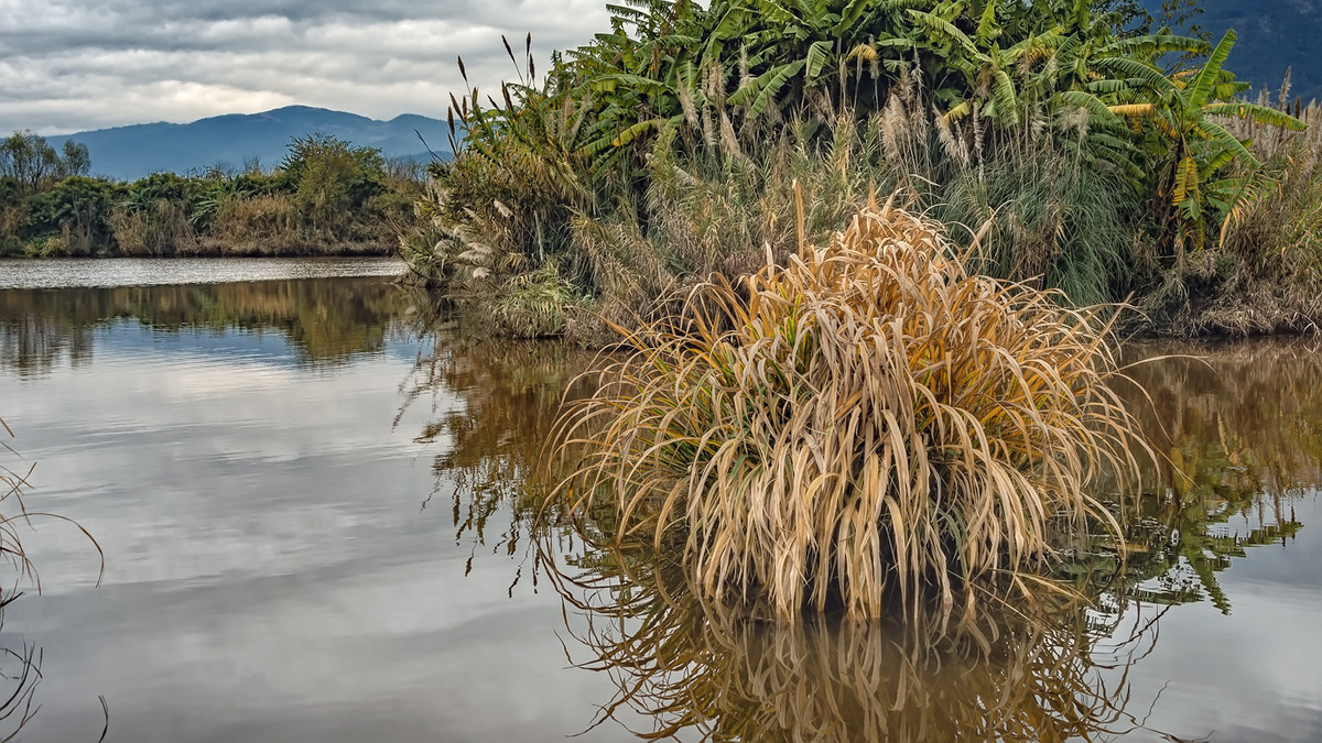 川西：西昌邛海杂拍(5)