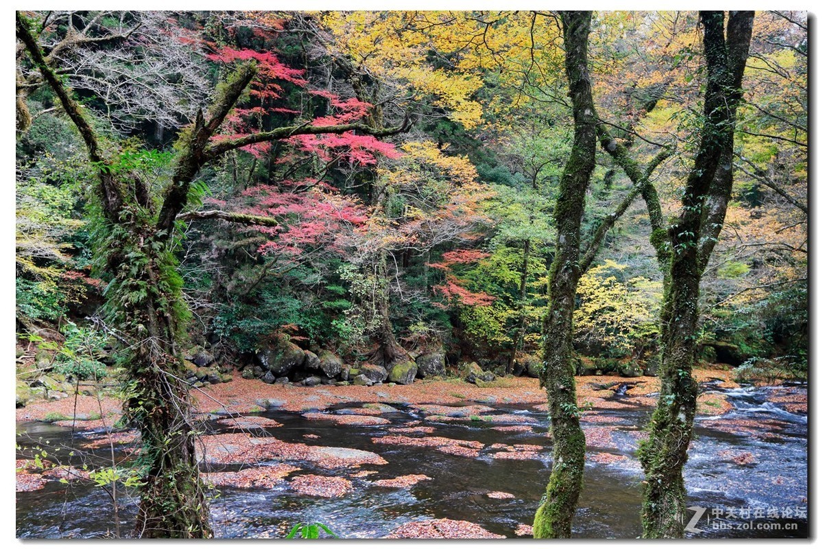 #佳能月赛-金秋十月#《秋风、秋波》