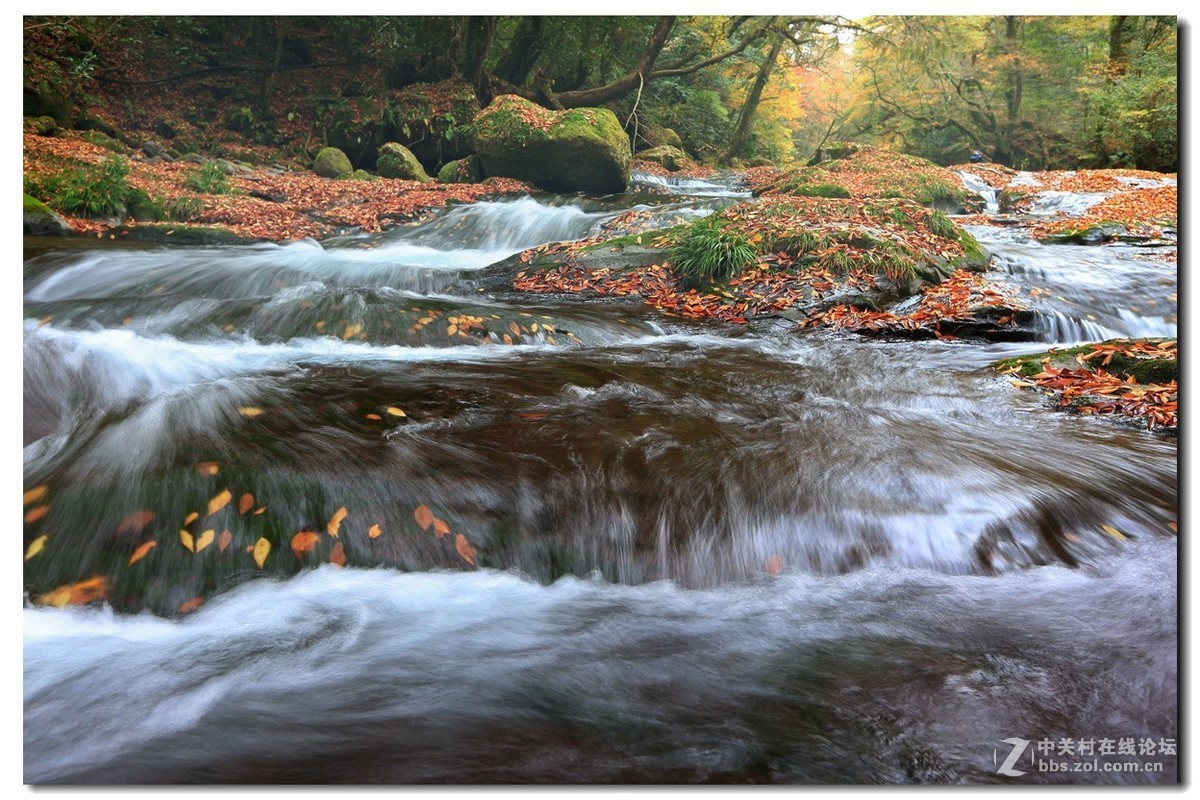 #佳能月赛-金秋十月#《秋风、秋波》