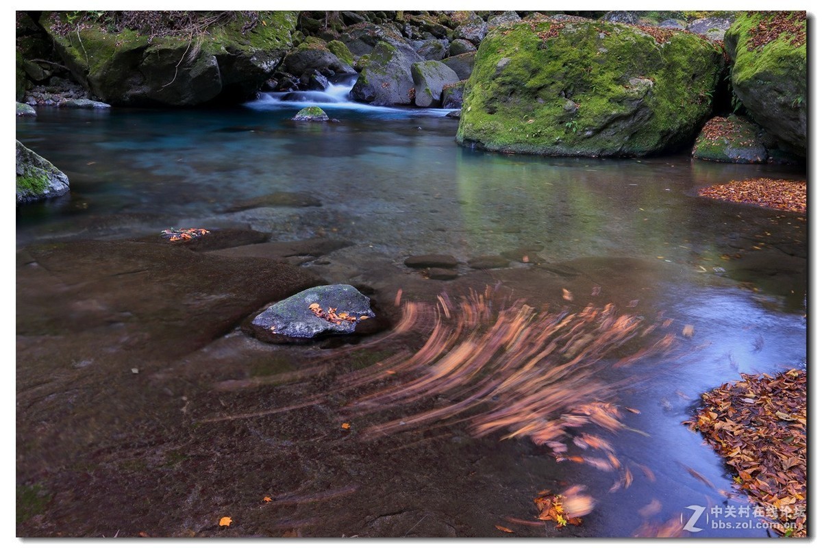 #佳能月赛-金秋十月#《秋风、秋波》