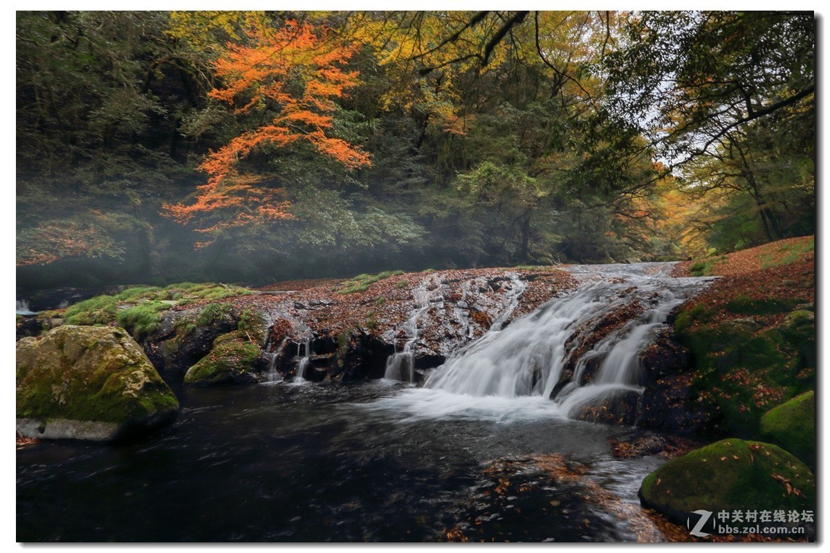 #佳能月赛-金秋十月#《秋风、秋波》