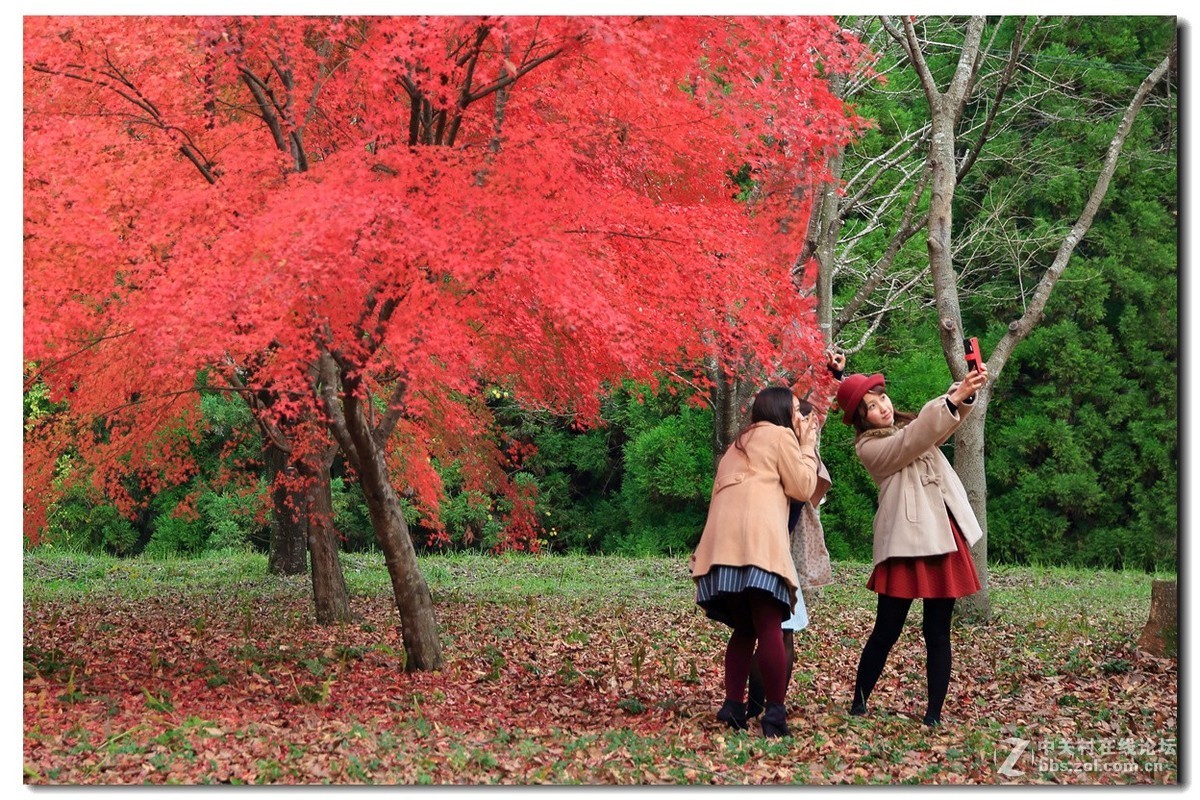 #佳能月赛-金秋十月#《秋风、秋波》