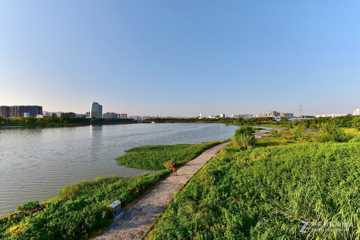 心圩江湿地公园2