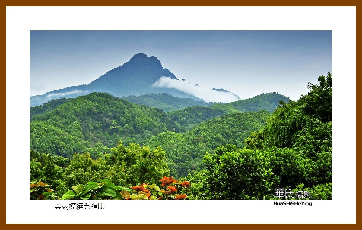 海南島旅遊——雲霧繚繞五指山(海南島五指山市)