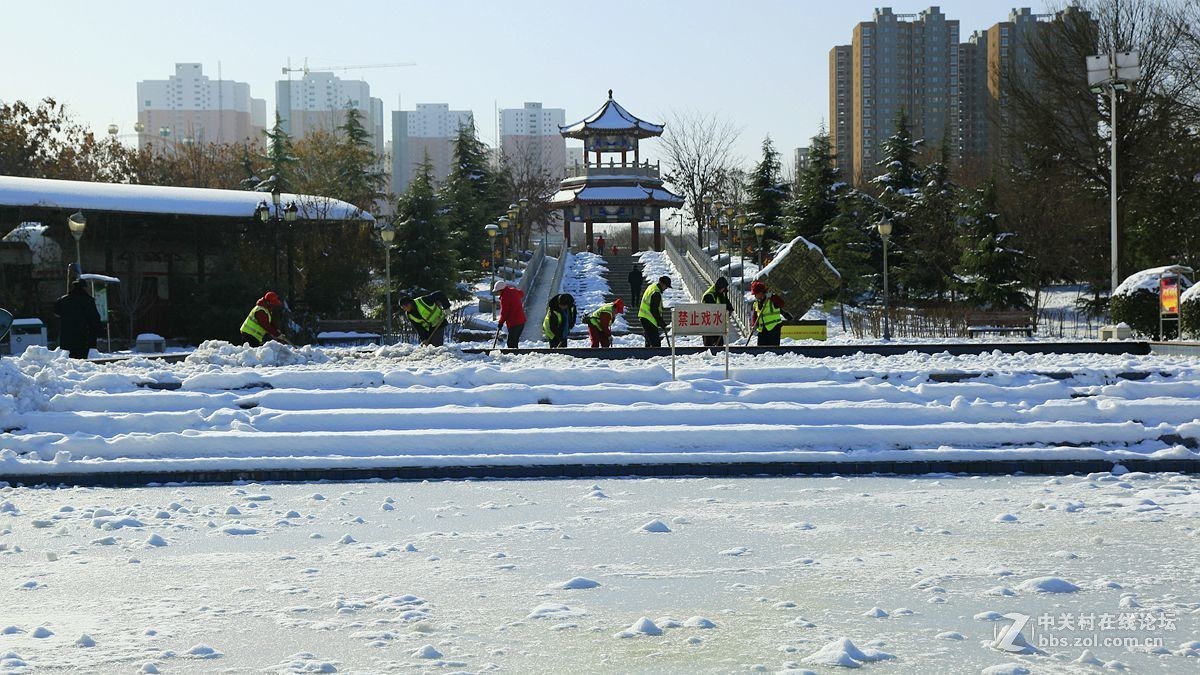 雪后拍小景《完结篇》