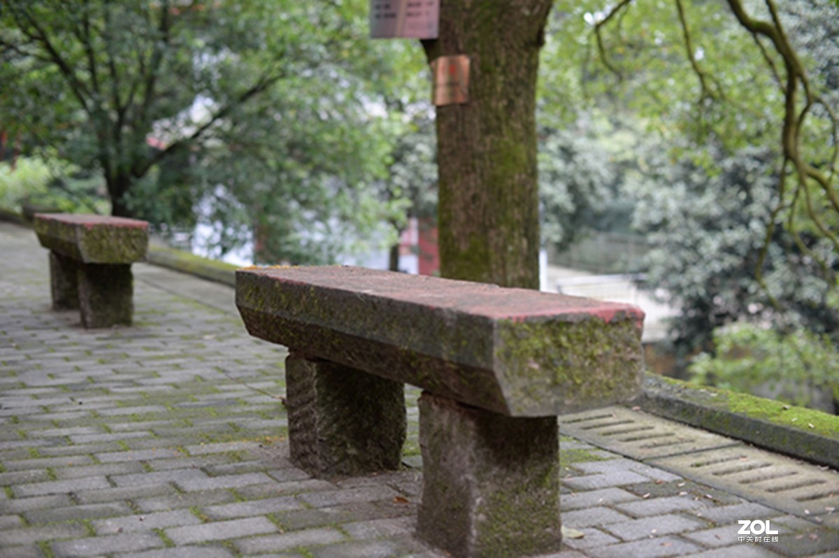 尼康AIS50 1.2游拍圣灯山