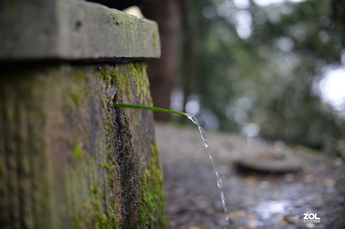 尼康AIS50 1.2游拍圣灯山