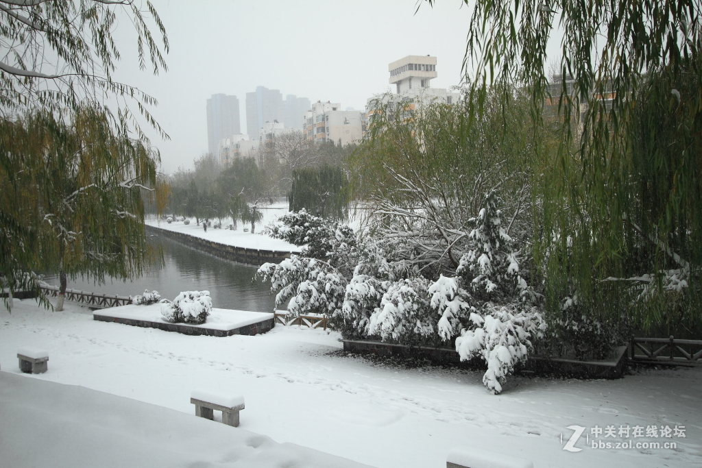 新乡第一场雪……