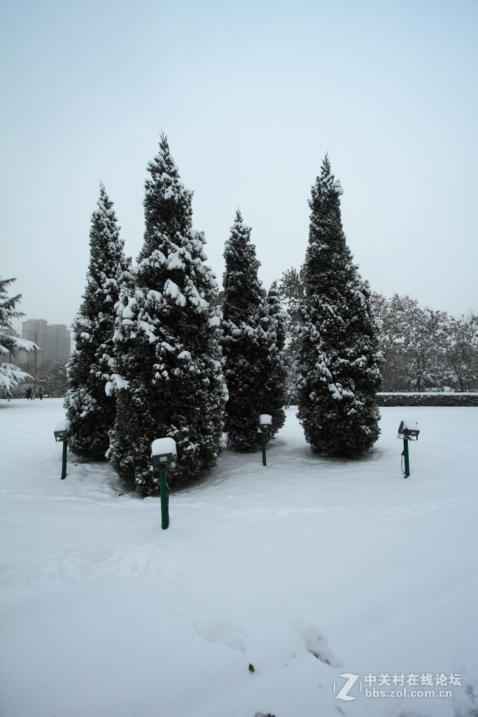 新乡第一场雪……