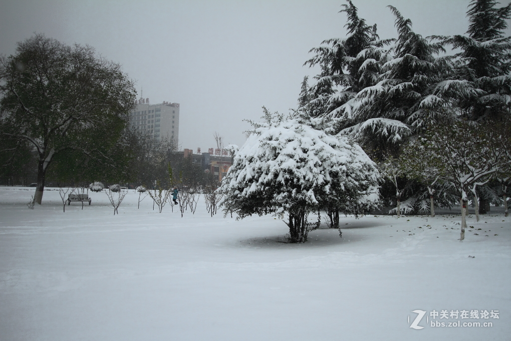 新乡第一场雪……