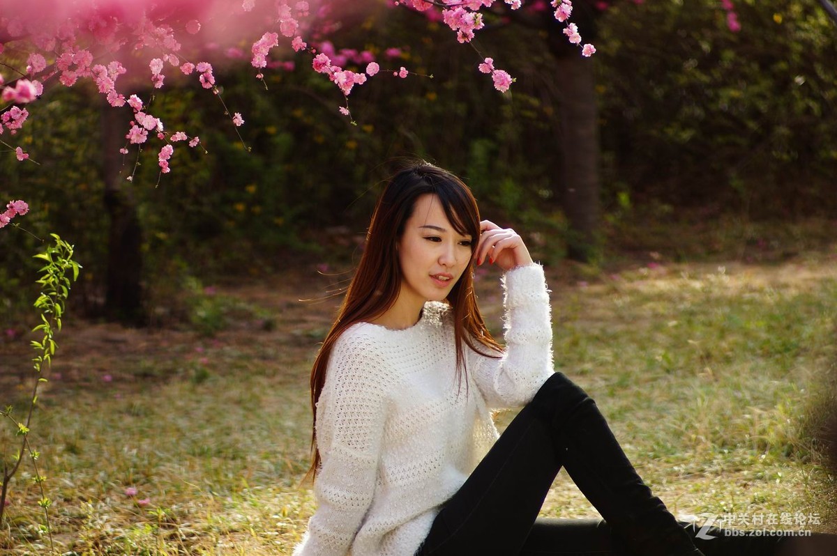 #ZOL月赛-四月物语#+桃红又是一年春