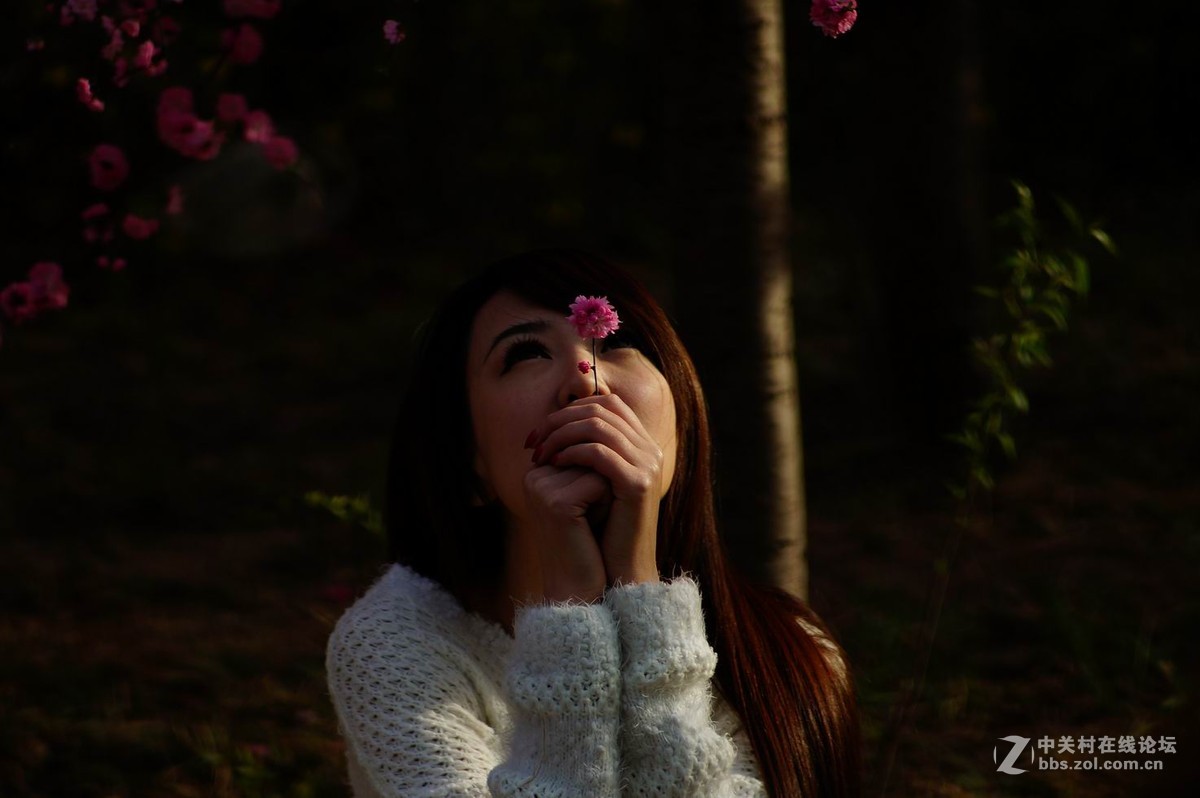 #ZOL月赛-四月物语#+桃红又是一年春