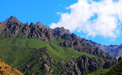 祁连山夏季牧场——肃南松木滩