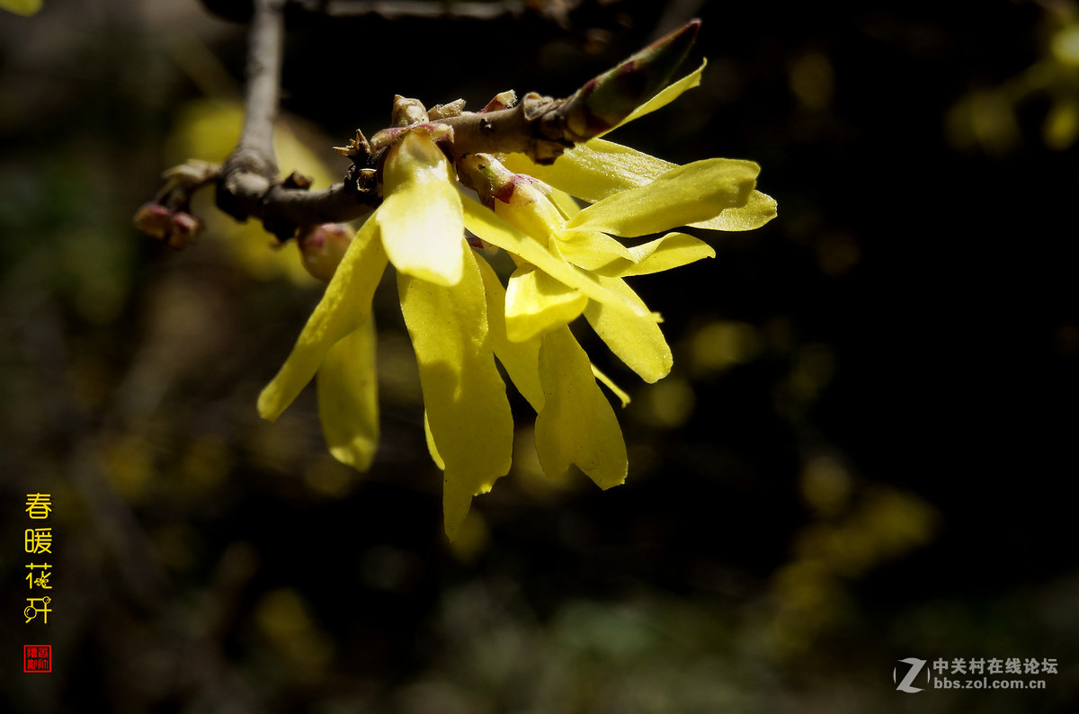 在2017的春天里（3）