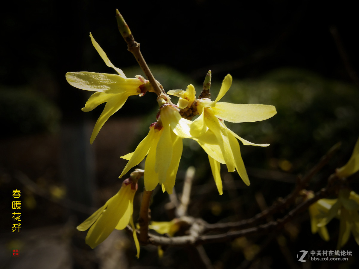 在2017的春天里（3）