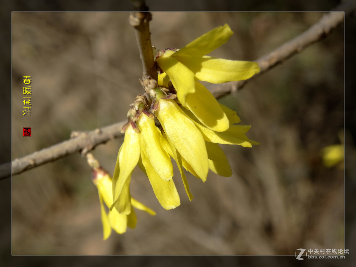 在2017的春天里（3）