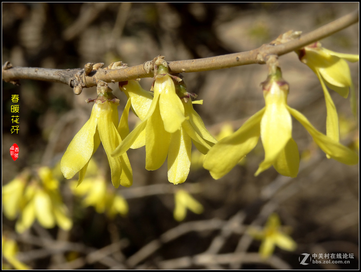 在2017的春天里（3）