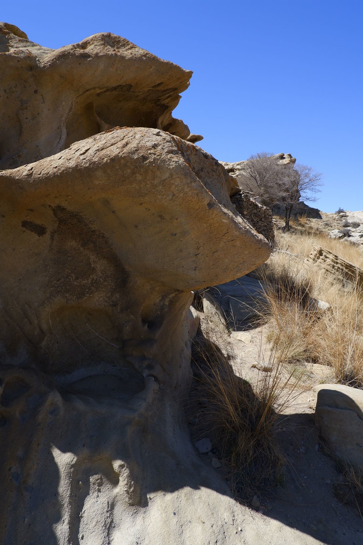 贺兰山里有个神奇的地方——石柱子客栈（上）