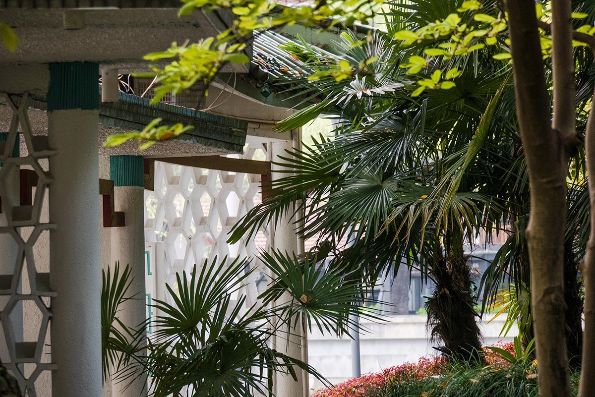 花园小景（一）