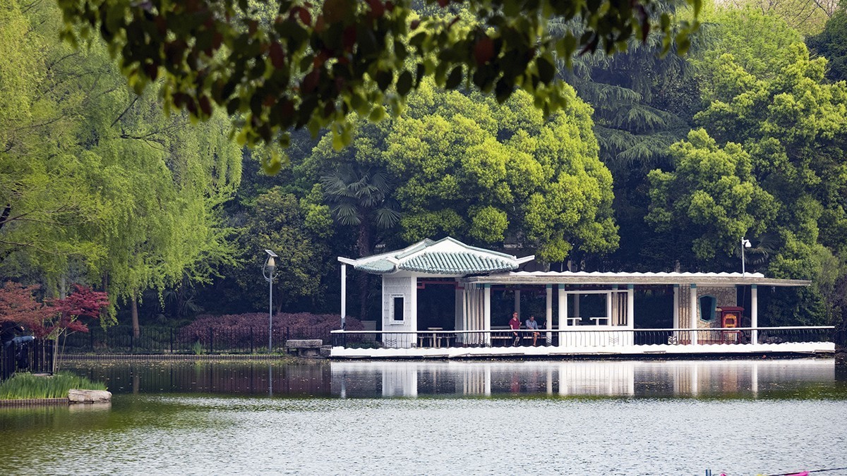 花园小景（一）