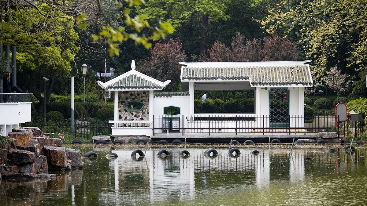 花园小景（一）