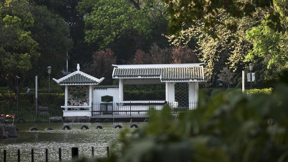 花园小景（一）