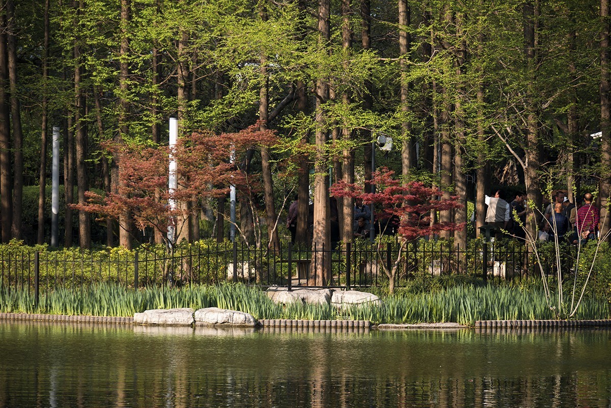 花园小景（一）