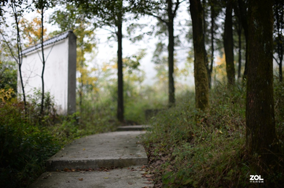 尼康AIS50 1.2游拍圣灯山