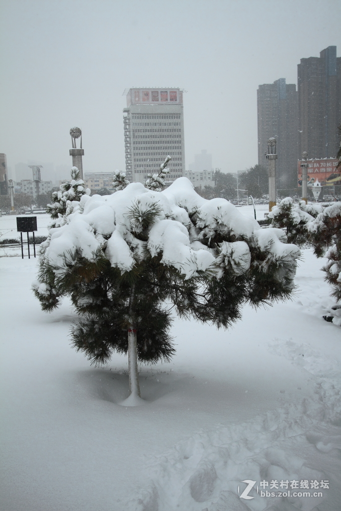 新乡第一场雪……