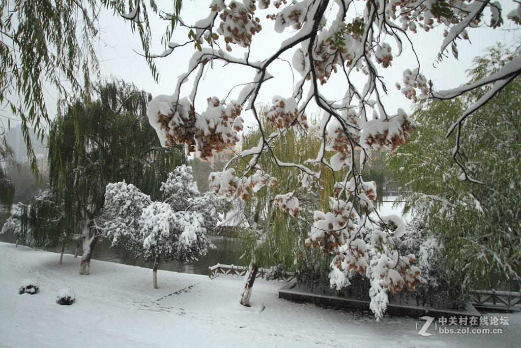 新乡第一场雪……