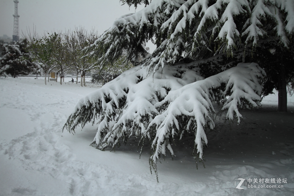 新乡第一场雪……