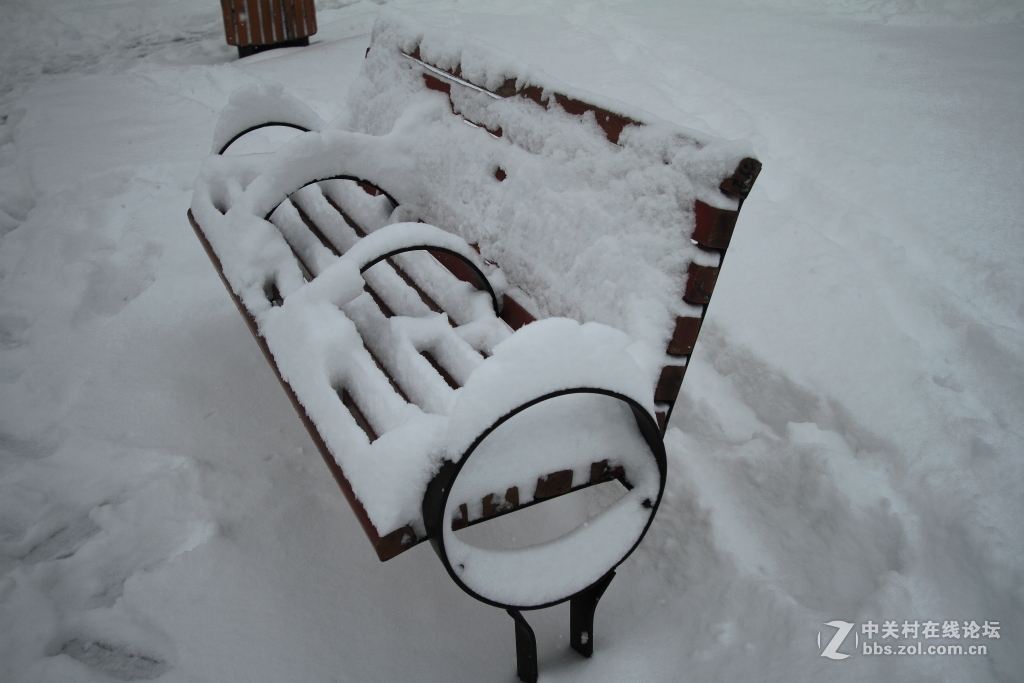 新乡第一场雪……