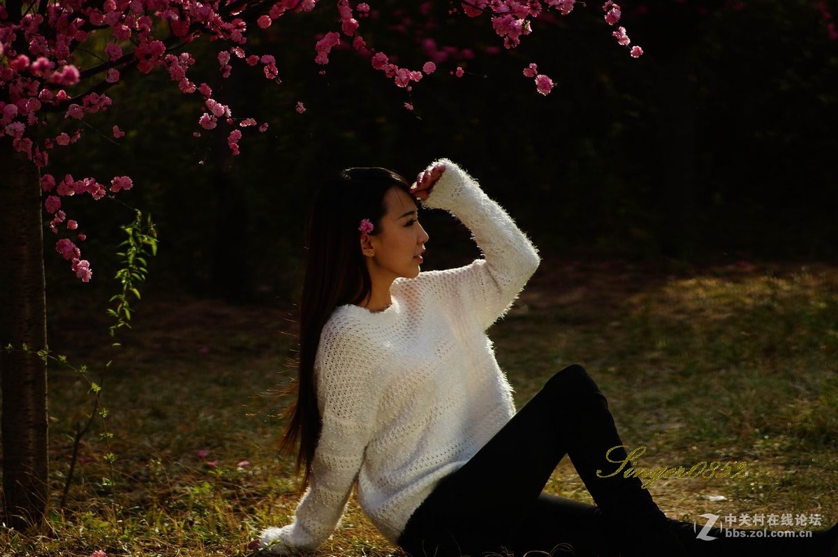 #ZOL月赛-四月物语#+桃红又是一年春