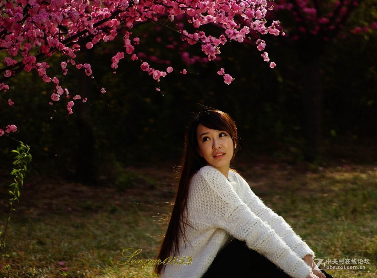 #ZOL月赛-四月物语#+桃红又是一年春