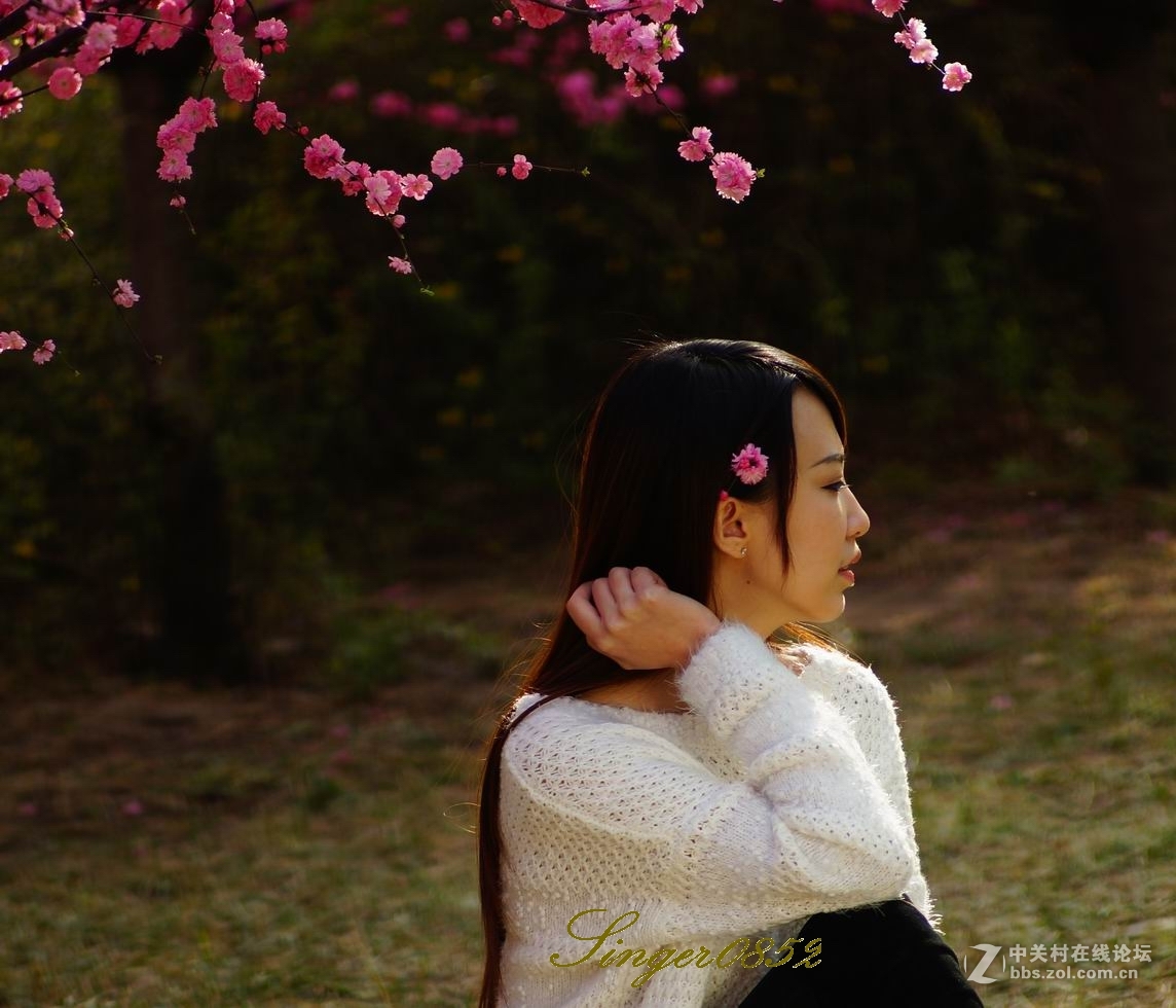 #ZOL月赛-四月物语#+桃红又是一年春