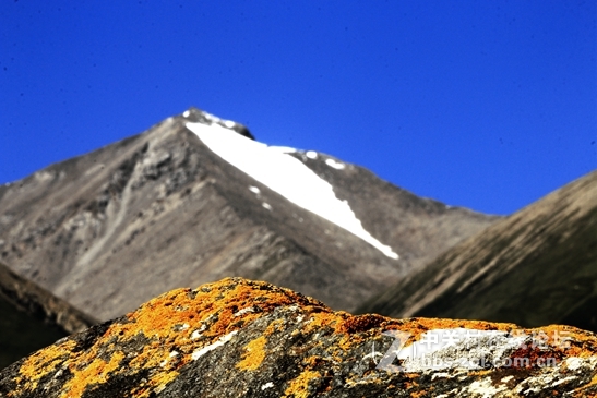 祁连山夏季牧场——肃南松木滩