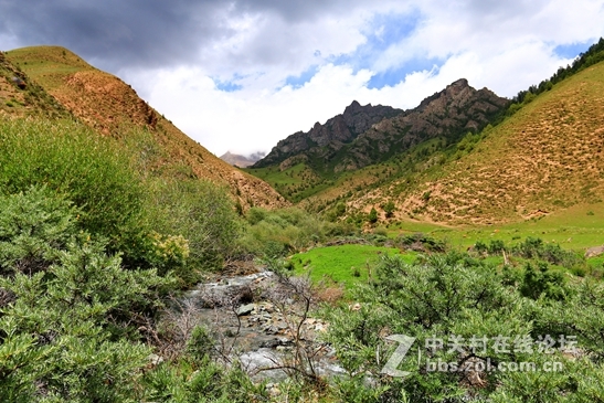 祁连山夏季牧场——肃南松木滩