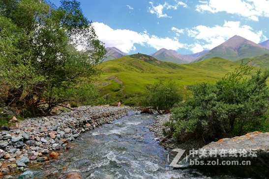 祁连山夏季牧场——肃南松木滩