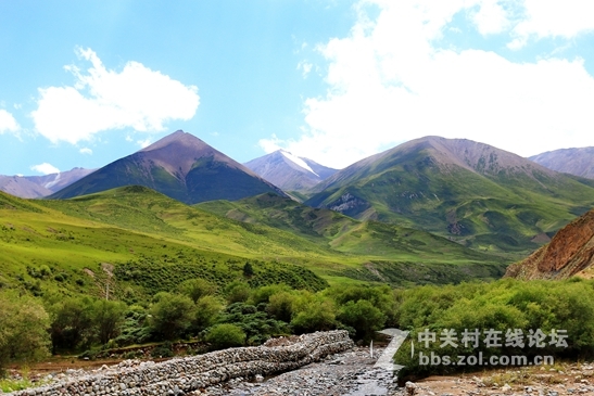 祁连山夏季牧场——肃南松木滩
