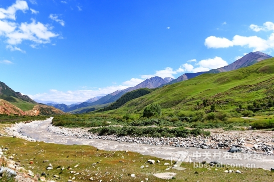 祁连山夏季牧场——肃南松木滩