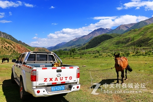 祁连山夏季牧场——肃南松木滩